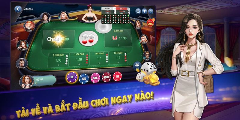 Chương trình hấp dẫn